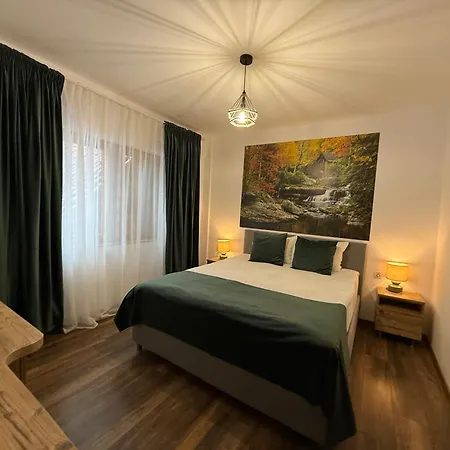 Hotel Conacul Radacinilor *