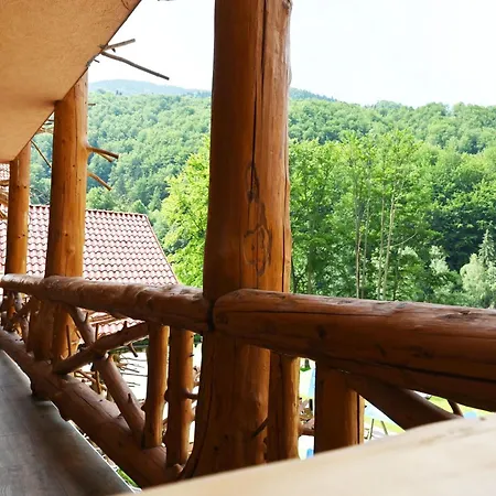 Hotel Conacul Radacinilor