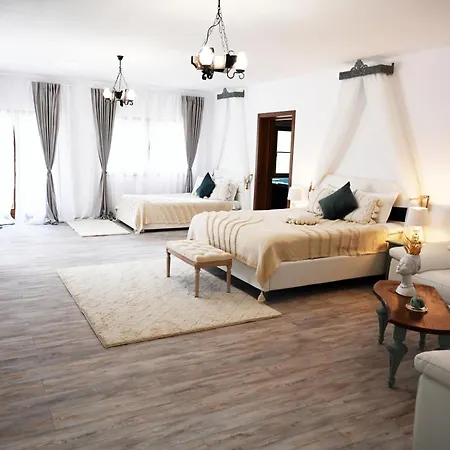 Hotel Conacul Radacinilor Petroşani